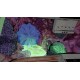 Minimally Invasive PC Steam CD Key