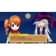 Harvest Moon: Light of Hope Special Edition Nintendo Switch Access