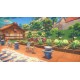 My Time At Portia Nintendo Switch Access