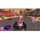 Nickelodeon Kart Racers Nintendo Switch Online Account Activation