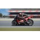 MotoGP 24 - Test Suits DLC EU (without DE) PS4 CD Key