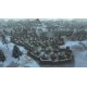 Dawn of Man + Planetbase - Bundle AR Xbox One / Xbox Series X|S CD Key