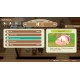 STORY OF SEASONS: Friends of Mineral Town Nintendo Switch Access