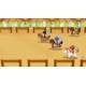 STORY OF SEASONS: Friends of Mineral Town Nintendo Switch Access