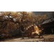 Black Myth: Wukong EU PC Steam CD Key