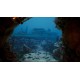 Thalassa Edge of the Abyss PC Steam CD Key