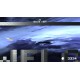 WAKKA Follow the treasure ring PC Steam CD Key