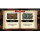 Spelunky 2 XBOX One / Xbox Series X|S / PC Account