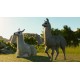 Planet Zoo - South America Pack DLC EU PC Steam CD Key