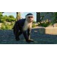 Planet Zoo - South America Pack DLC EU PC Steam CD Key