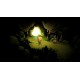 Cat Quest III Nintendo Switch Access