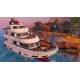 Critter Cove PC Steam CD Key