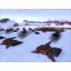 Supreme Commander Gold Edition EU PC Steam CD Key