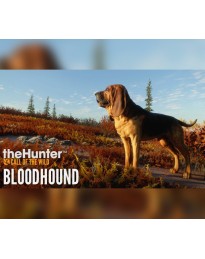 theHunter: Call of the Wild - Bloodhound DLC EU PC Steam CD Key