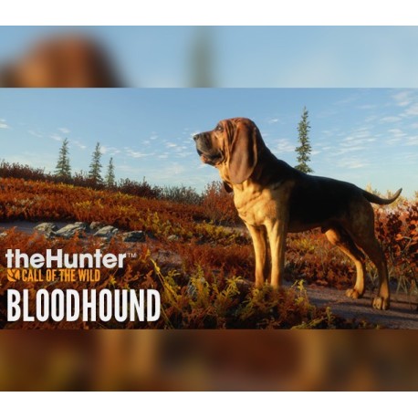 theHunter: Call of the Wild - Bloodhound DLC EU PC Steam CD Key