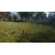 theHunter: Call of the Wild - Bloodhound DLC EU PC Steam CD Key
