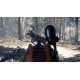 theHunter: Call of the Wild - Smoking Barrels Weapon Pack DLC EU PC Steam CD Key