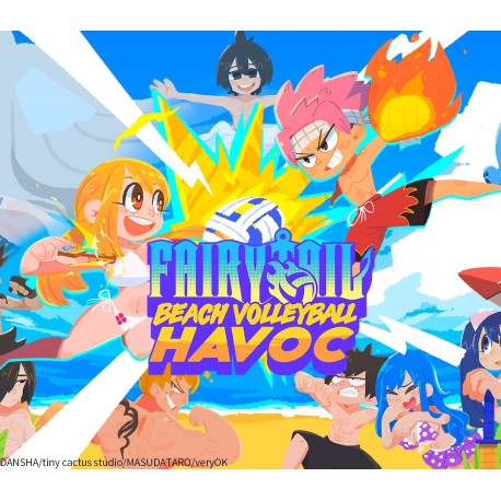 FAIRY TAIL: Beach Volleyball Havoc PC Steam CD Key