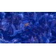 Tiny Glade PC Steam Account