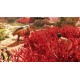 Greedfall: The Dying World PC Steam CD Key