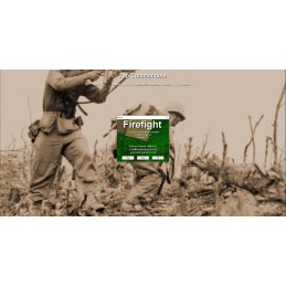 Firefight Steam CD Key