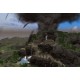 Tropico 4 Collector's Bundle EU PC Steam CD Key