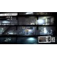 This War of Mine: The Little Ones PS4 Account