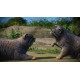 Planet Zoo - Zookeepers Animal Pack DLC PC Steam CD Key