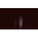 Neva PC Steam CD Key