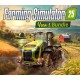Farming Simulator 25 - Year 1 Pass DLC PC Steam CD Key
