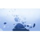 GRIS + Neva Bundle Xbox Series X|S Account