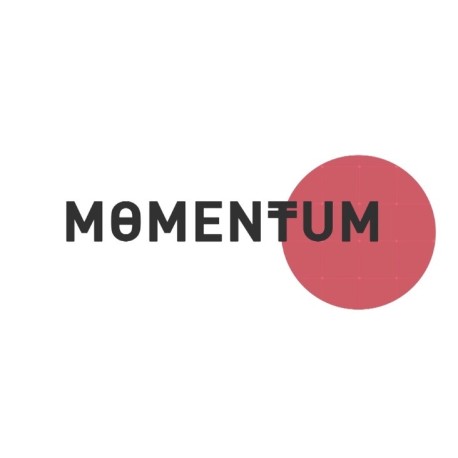 Momentum PC Steam CD Key