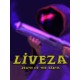 Liveza: Death of the Earth Steam CD Key