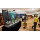 Aquatic Store Simulator PC Steam CD Key