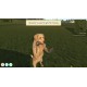 Animal Trainer Simulator RoW PC Steam CD Key