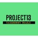 Project 13: Taxidermy Trails EU PS5 CD Key