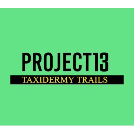 Project 13: Taxidermy Trails EU PS5 CD Key