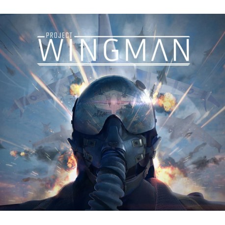 Project Wingman ASIA PC Steam CD Key