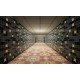 Escape Floor Zero PC Steam CD Key