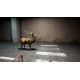 Escape Floor Zero PC Steam CD Key