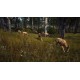 Way of the Hunter Elite Edition PC Steam Account