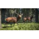 theHunter: Call of the Wild - Hunting Starter Pack Bundle PC Steam CD Key