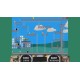Chickens Be Crazy PC Steam CD Key