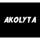 Akolyta PC Steam CD Key