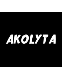 Akolyta PC Steam CD Key