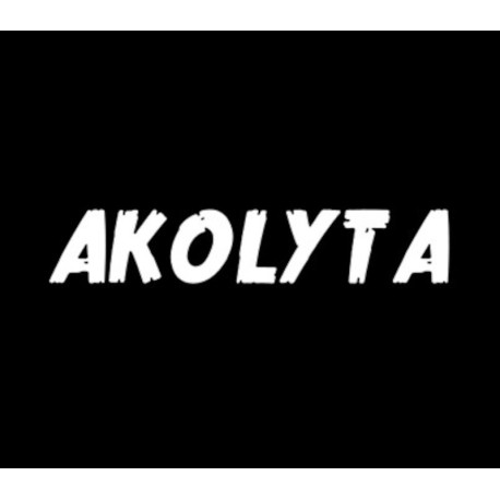 Akolyta PC Steam CD Key