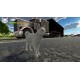 Cat Apocalypse PC Steam CD Key