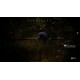 Hunting Simulator 2 Elite Edition EU Xbox Series X|S CD Key