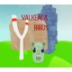 Valkeala Birds PC Steam CD Key