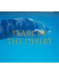 Pearl of the Desert PC Steam CD Key